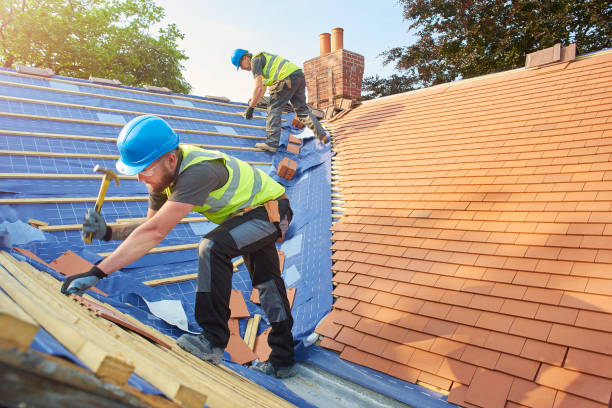 Trusted Rosemount, OH Roofing services Experts
